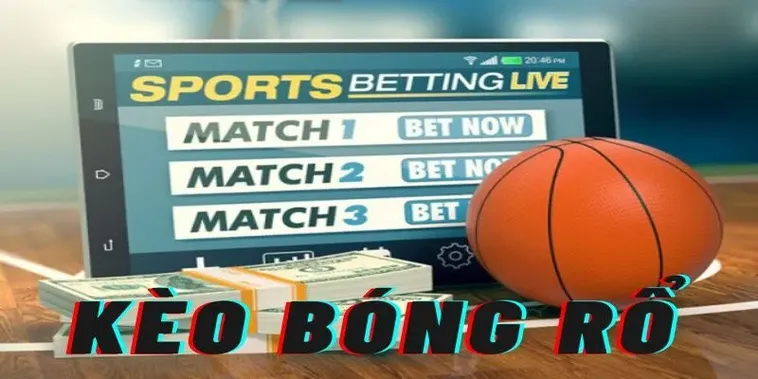 Tham Gia Ngay Cá Cược Bóng Rổ 79Win: Chinh Phục Thắng Lợi!
