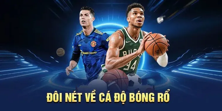 Tìm Hiểu Cá Cược Bóng Rổ 79Win: Bí Quyết Thành Công